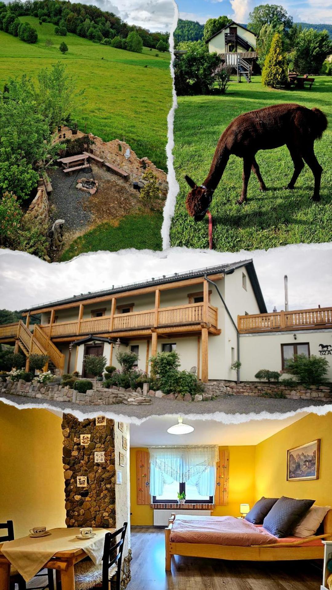 Agroturystyka Natura Pilchowice Exterior foto